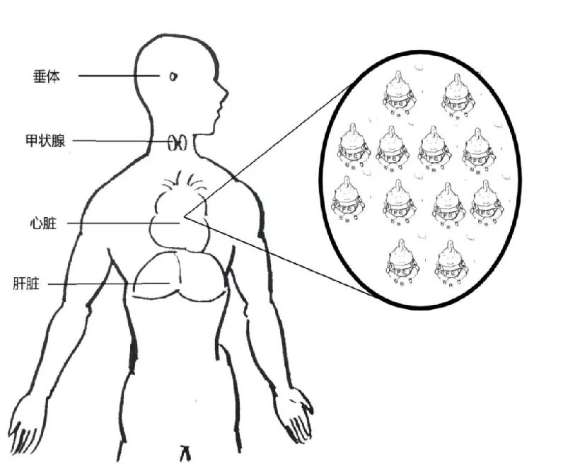 1591933540469536.png image.png