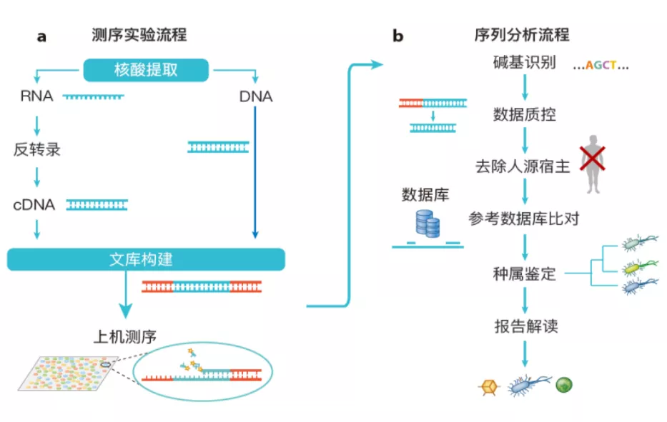 1633684605272286.png image.png