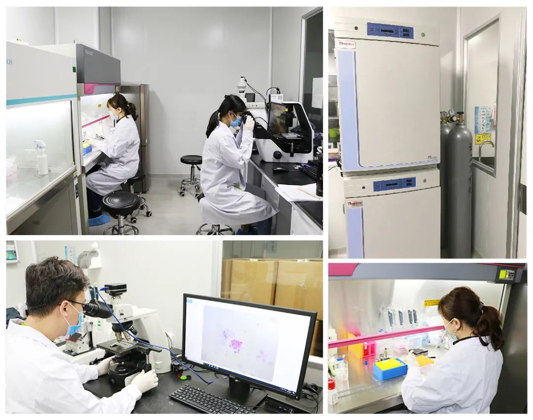 1655879194276989.jpg 9c83e1cdf0d3d2849ff6dc330975e44f_640_wx_fmt=jpeg&wxfrom=5&wx_lazy=1&wx_co=1.jpg