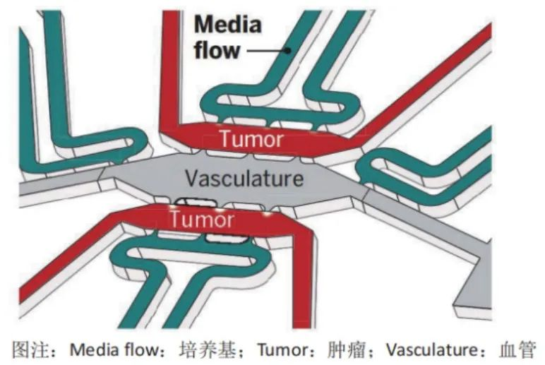 1656654359163601.png image.png