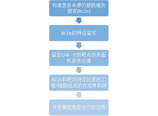 1658905113677634.png image.png