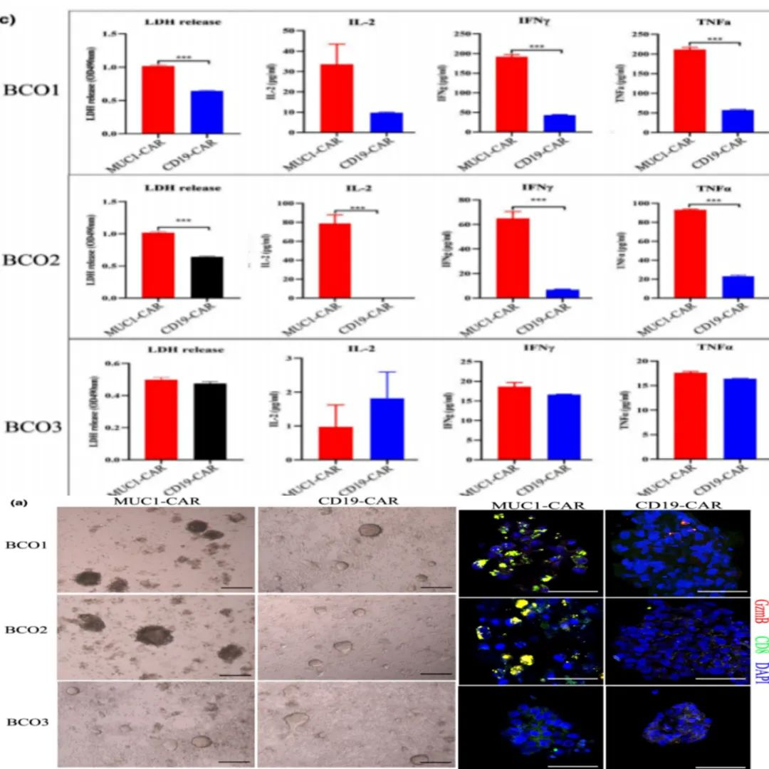 1658905387778600.png image.png