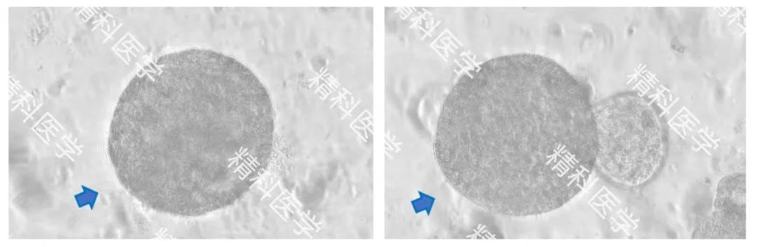 1658905416398292.png image.png