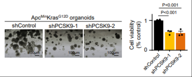 1660272176702208.png image.png