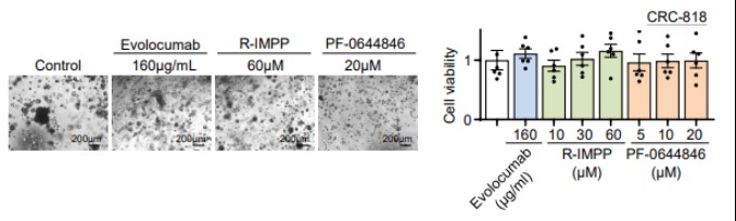 1660272270531358.png image.png