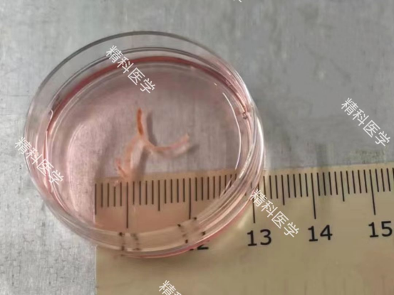 1660272347163855.png image.png