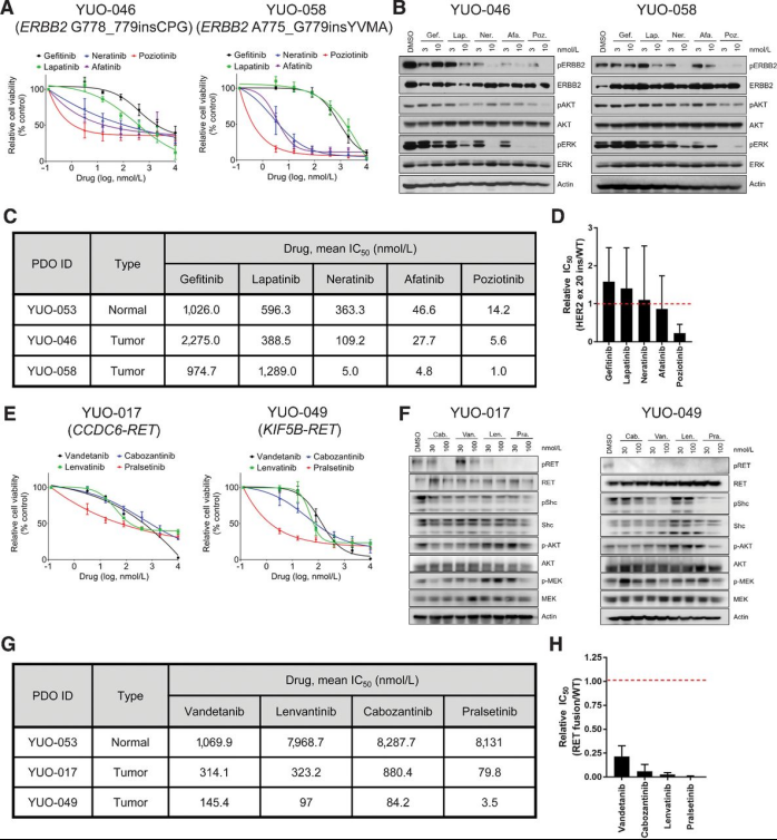 1663586554299703.png image.png