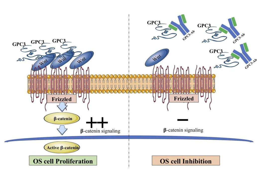 1663587480193917.png image.png